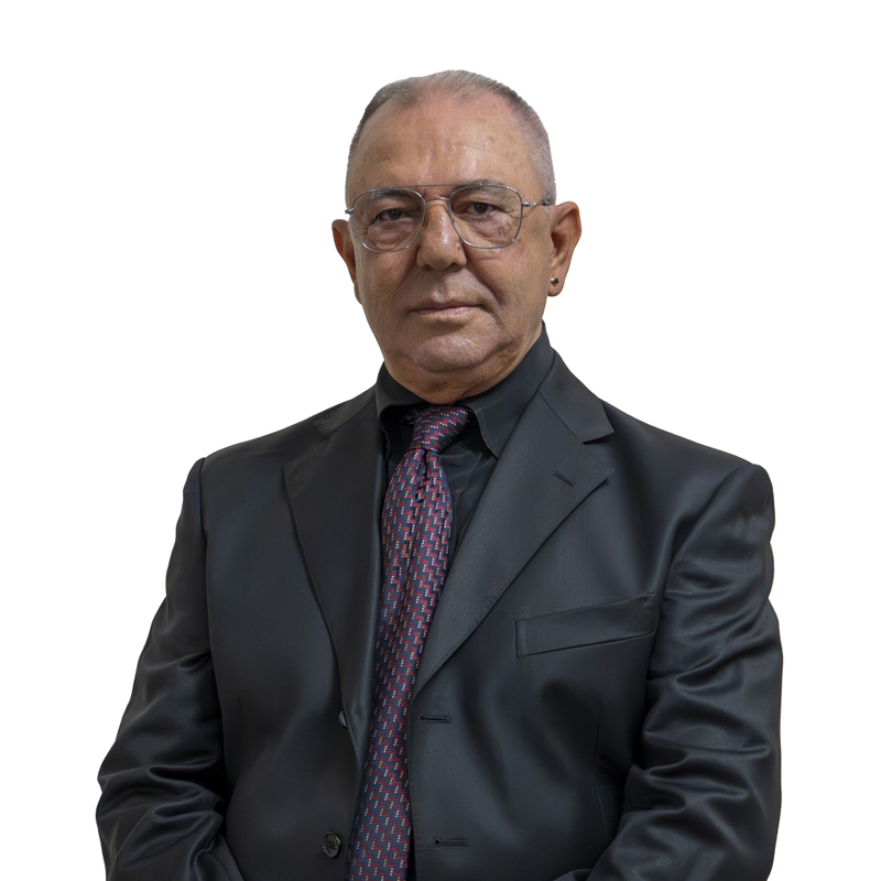Domenico Puca